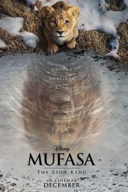 Review Phim Mufasa: Vua Sư Tử